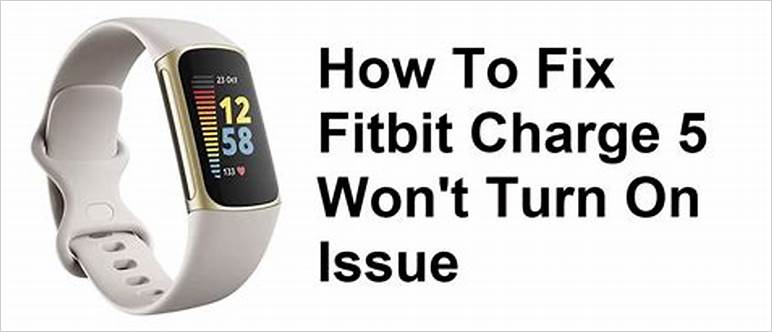 Fitbit wont charge